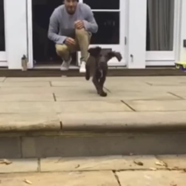 La pequeña pasa mucho tiempo con David, con quien juega y corre. ¡Su energía es inagotable!