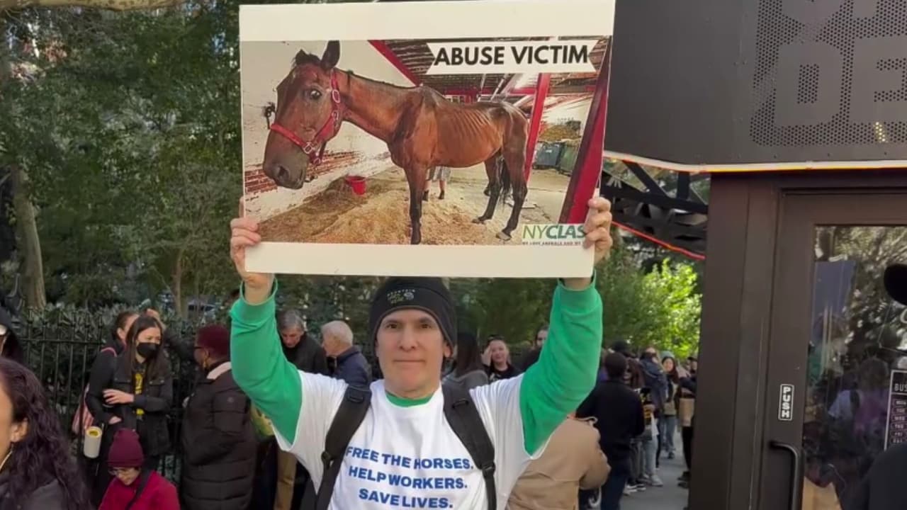 Nueva York prohíbe los carruajes tirados por caballos en Central Park: te decimos desde cuándo