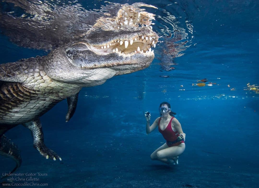 Con este acontecimiento, Maity sumó una osadía más a su diario aventurero. De este desafío quedan sorprendentes imágenes que fueron colgadas también en su cuenta de Instagram, Maity On The Go, dedicada a sus recorridos por el mundo.