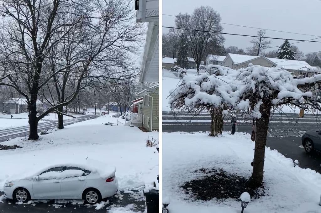 Tormenta invernal deja acumulados de hasta 9 pulgadas en Nueva York