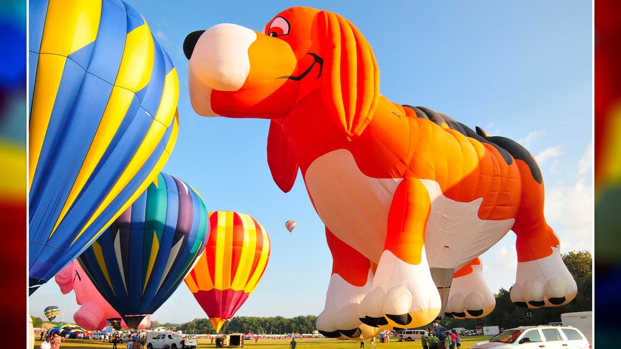<b>Está prohibido el ingreso de bebidas alcohólicas</b> y no es recomendable llevar mascotas debido a que, según los organizadores, pueden alterarse debido a los globos. Ante las altas temperaturas, lo mejor es llevar ropa fresca y zapatos deportivos. El evento se puede cancelar debido a las condiciones del tiempo y
<b>no hay política de reembolso</b>.