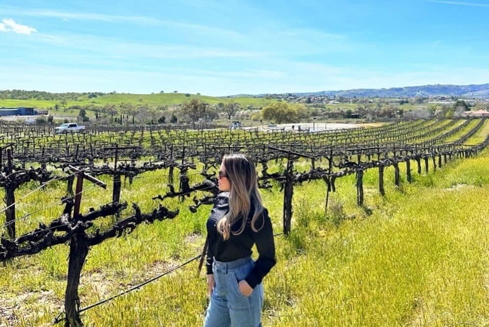 Paso Robles es el corazón vinícola California, el destino predilecto para los enófilos, pero si no eres conocedor de vinos no importa con el sólo hecho de estar al aire libre obtendrá muchos beneficios: paisajes inolvidables, historia y cultura. 
<br>