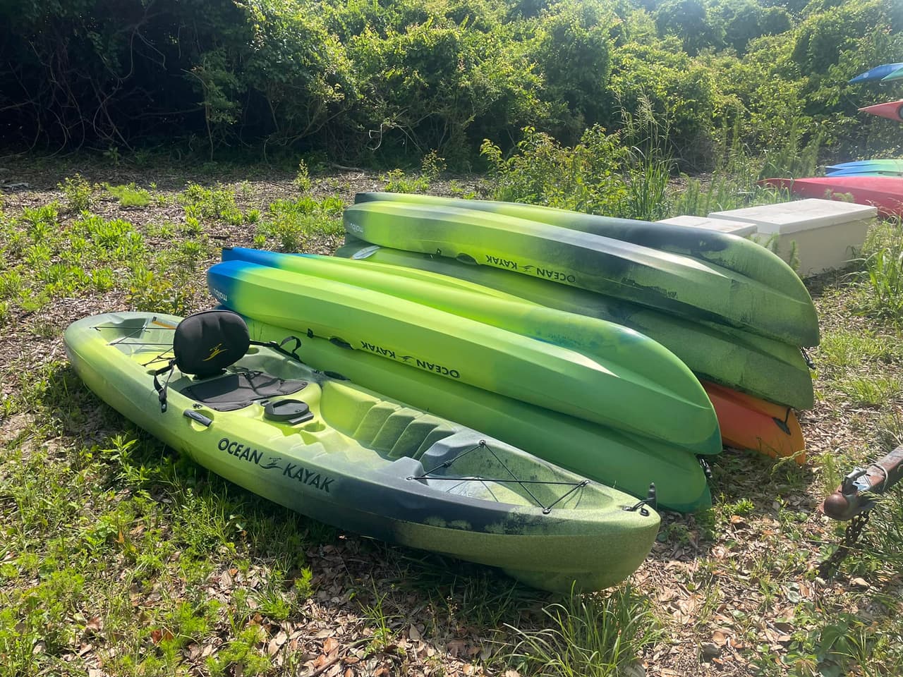 Un concesionario privado en el parque ofrece alquiler de kayaks, canoas y tablas de remo, así como recorridos guiados en kayak y tablas de remo.