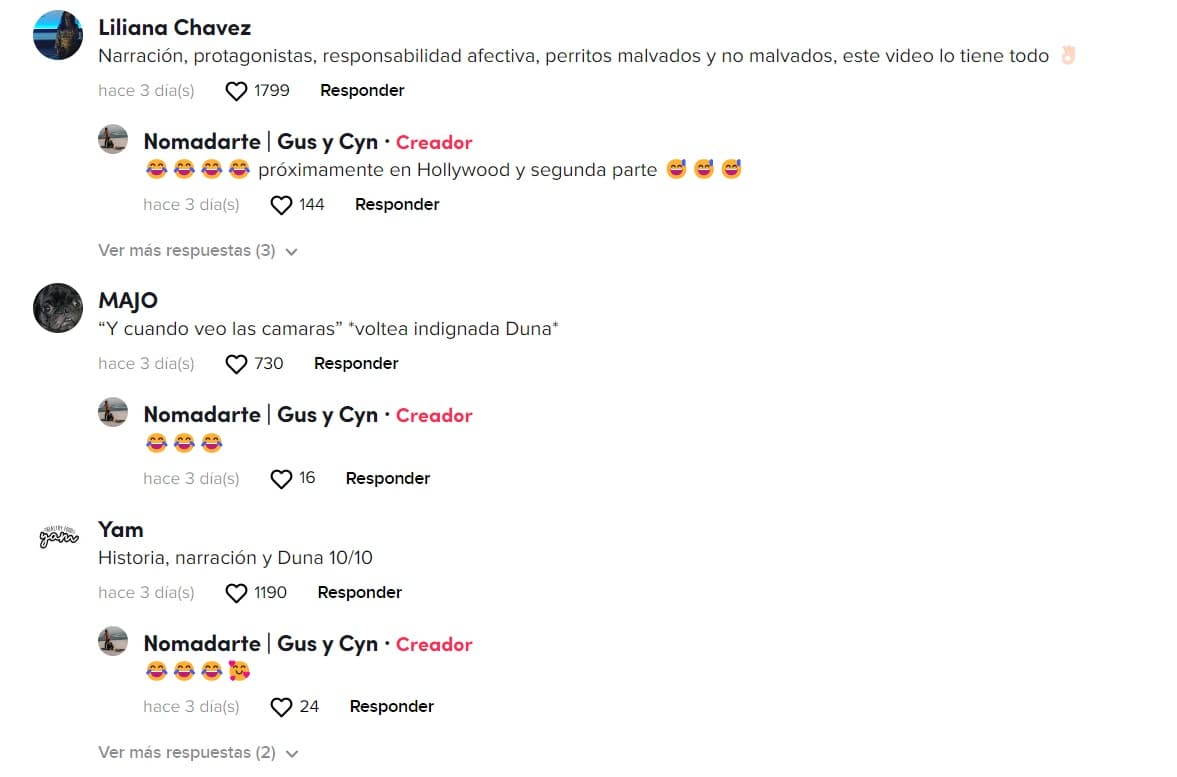 Los usuarios reaccionaron al video donde el dueño le pide disculpas a su perrita