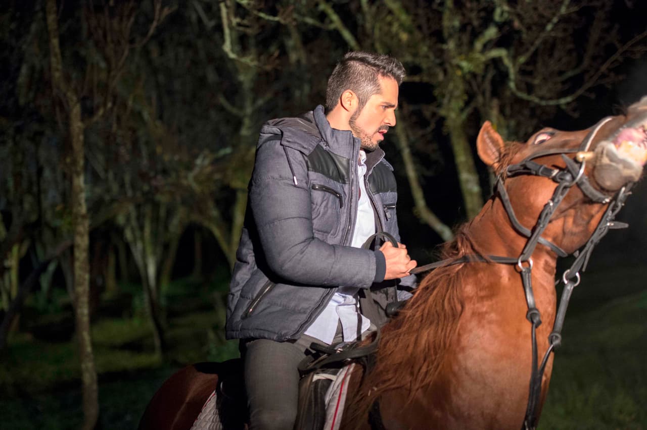 Sí, luce como todo un príncipe.