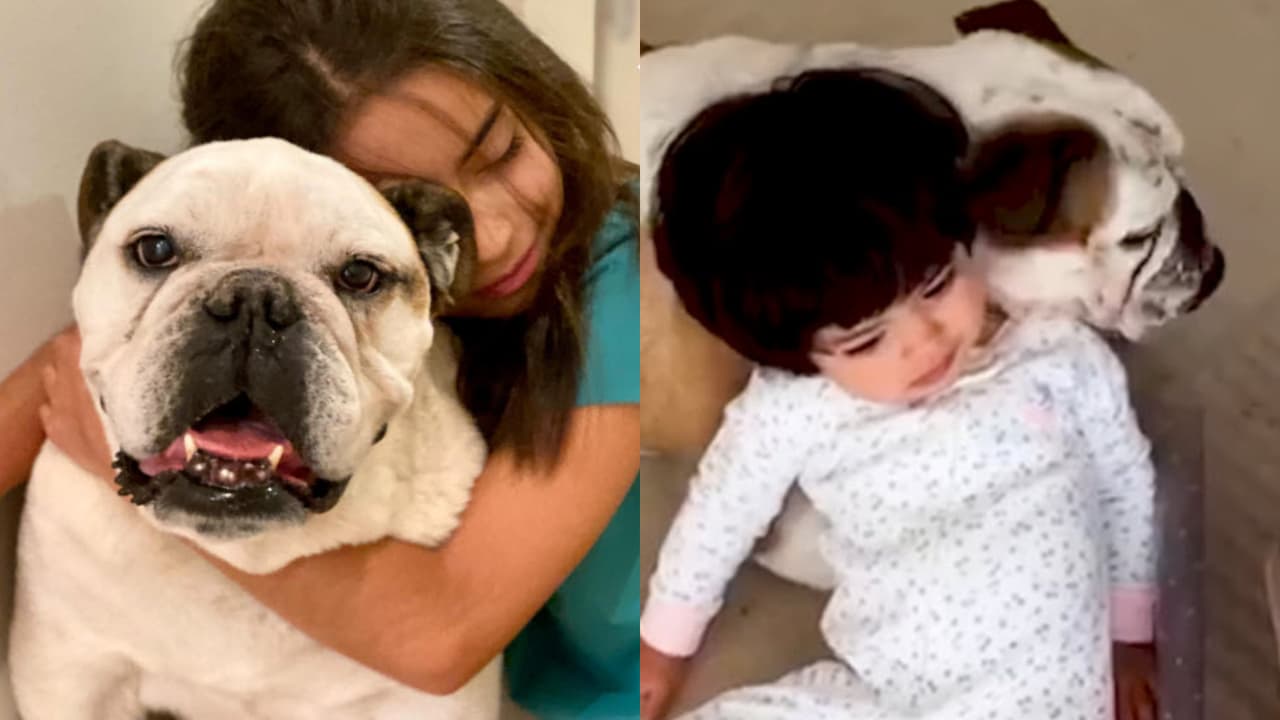 Aitana Derbez prácticamente creció a la par de Fiona.