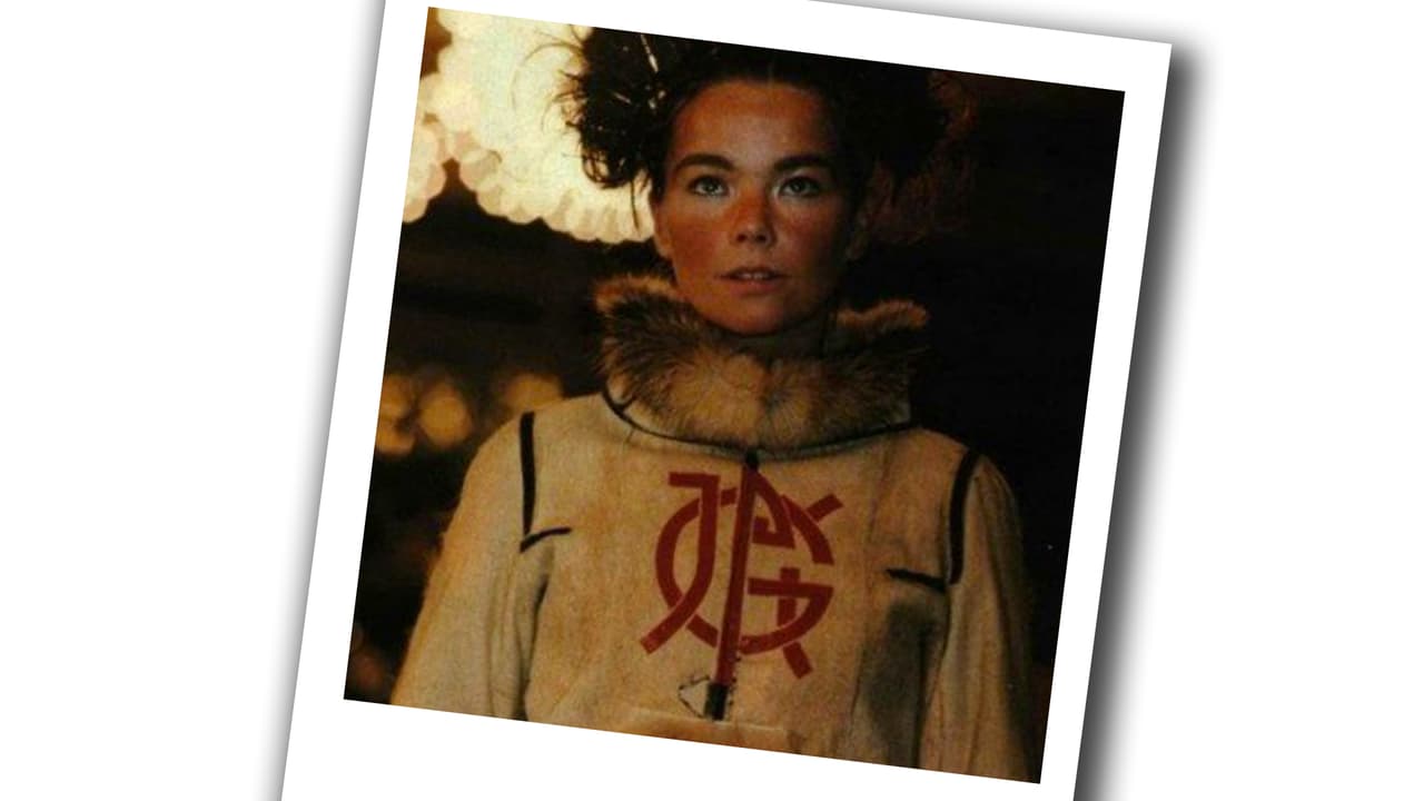 ¿Qué te gusta de Björk?