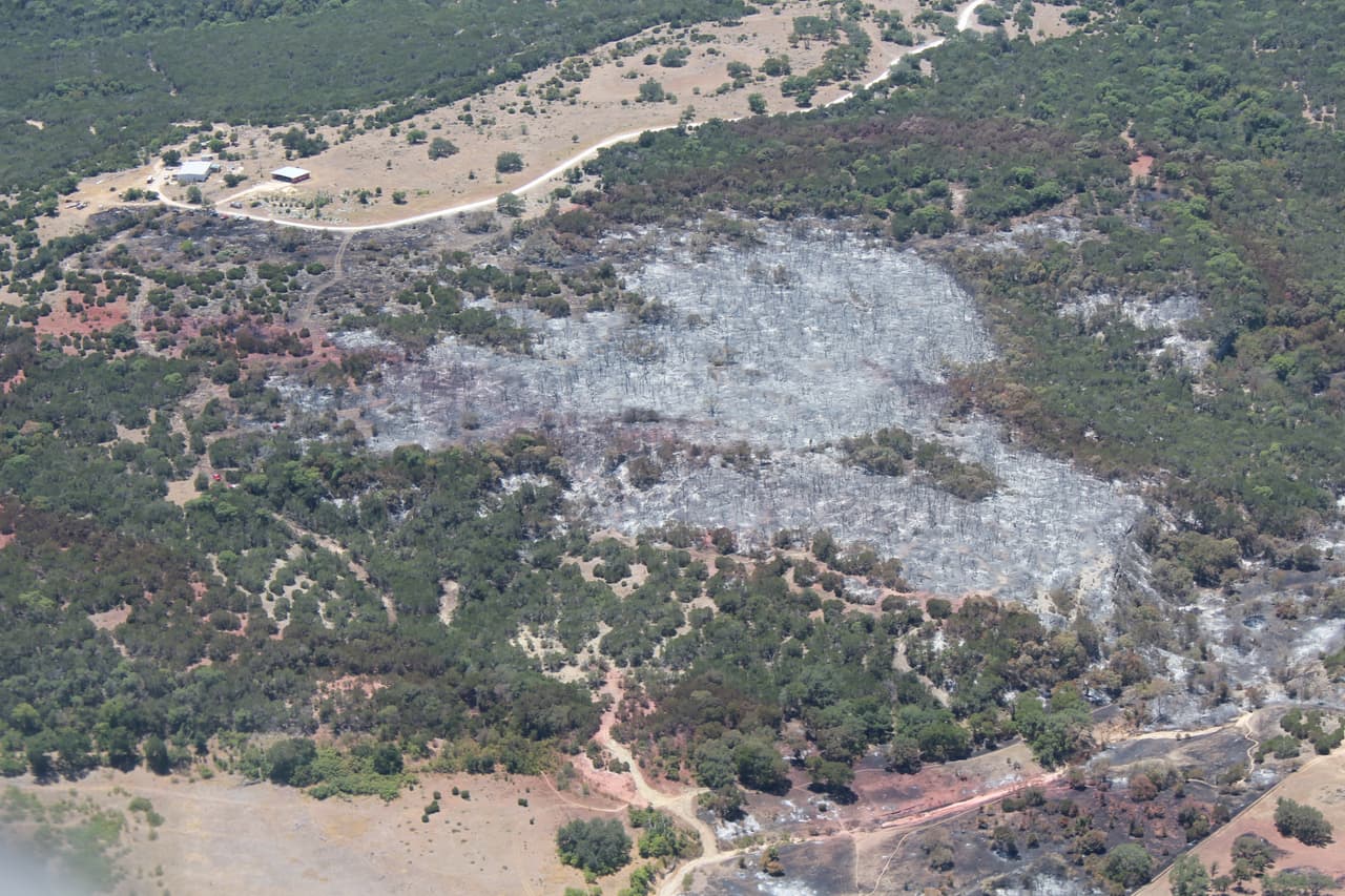 Las autoridades están pidiendo a las personas que tengan precaución al aire libre, ya que las condiciones secas pueden provocar que cualquier chispa prenda en fuego rápidamente la vegetación.