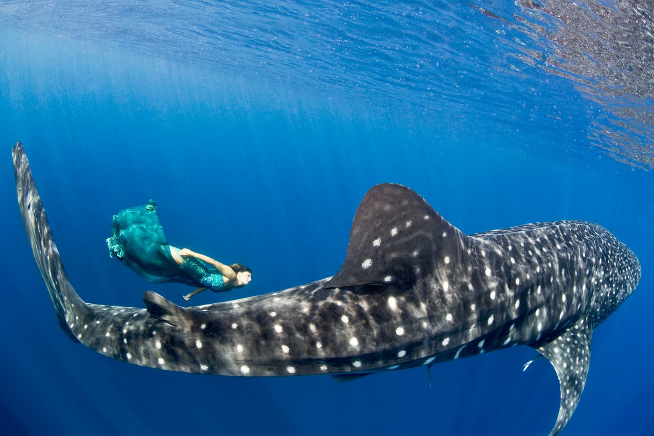 Además es una modelo experimentada y bucea ante las cámaras.