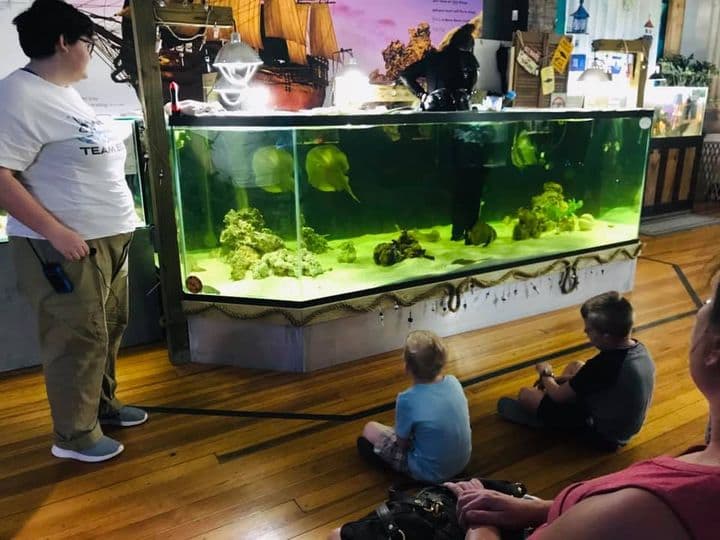 También puedes visitar el Team ECCO Aquarium & Shark Lab, el primer acuario interior de Carolina del Norte que es el hogar de casi 300 peces, invertebrados, reptiles y salamandras. Este lugar hace que el aprendizaje sea divertido, enseñando a los niños (y adultos) sobre la vida marina y la importancia de la conservación.