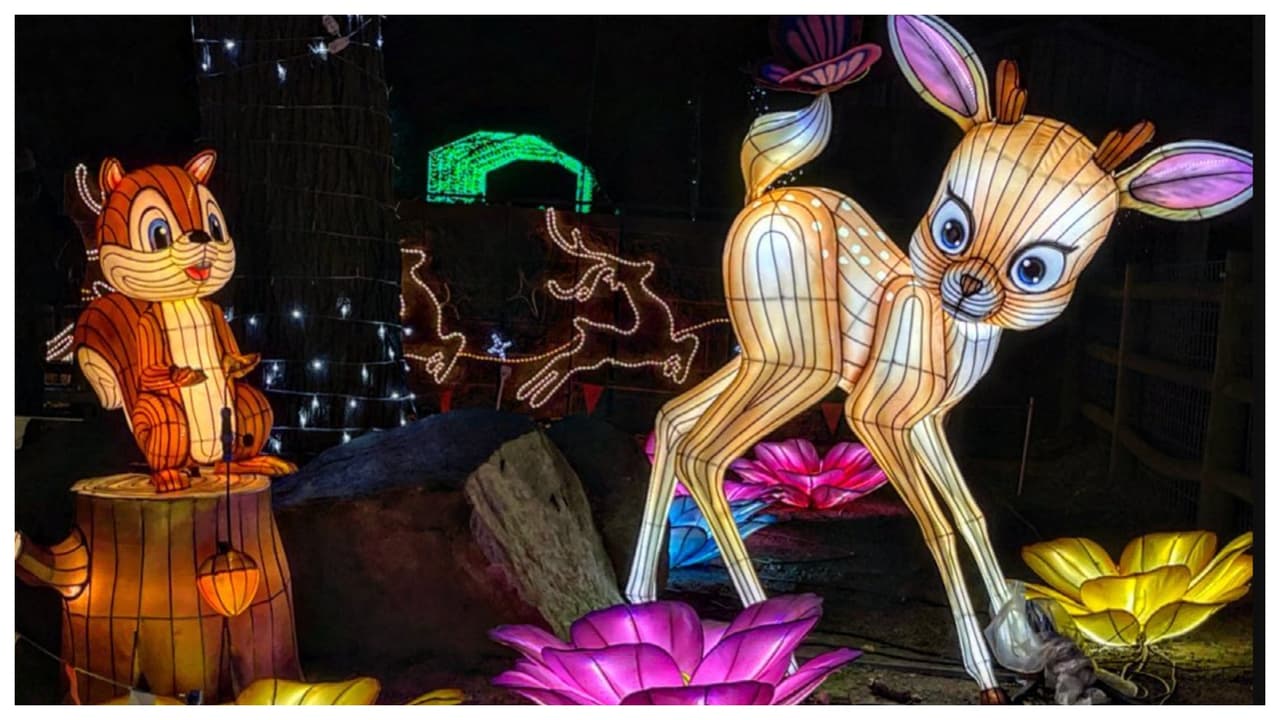 El Lumino City Festival es un despliegue en 
<b>tamaños gigantes de figuras </b>y caracteres iluminados en gran escala, en un terreno de 17 acres. Para que la visita quede completa, hay ventas de comida, regalos, artesanías y entretenimiento constante. Los boletos cuestan $30 para adultos y $22 para niños entre 2-12 años.