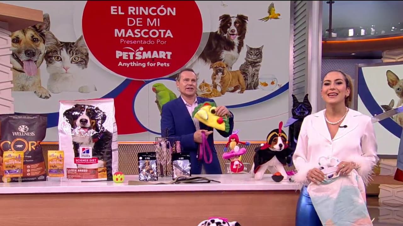 Jessi y Alan quedaron fascinados por los accesorios de PetSmart con los que consentirán a sus mascotas