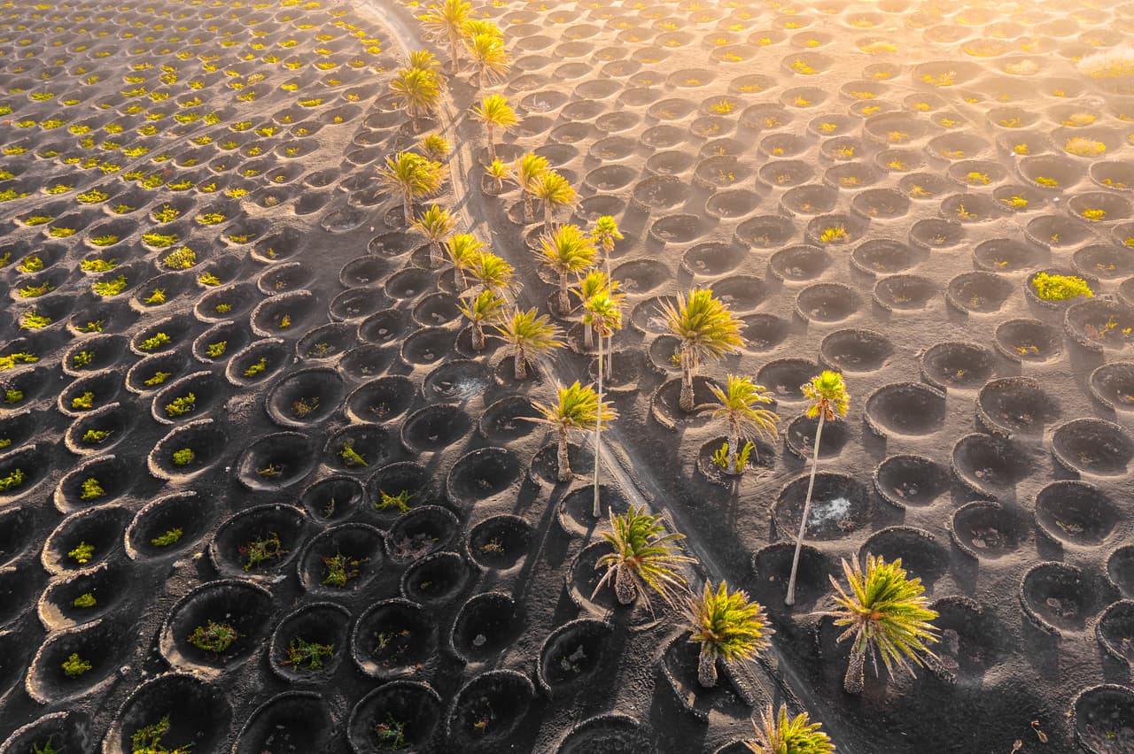 La región vinícola de La Geria en la isla de Lanzarote.
<br>