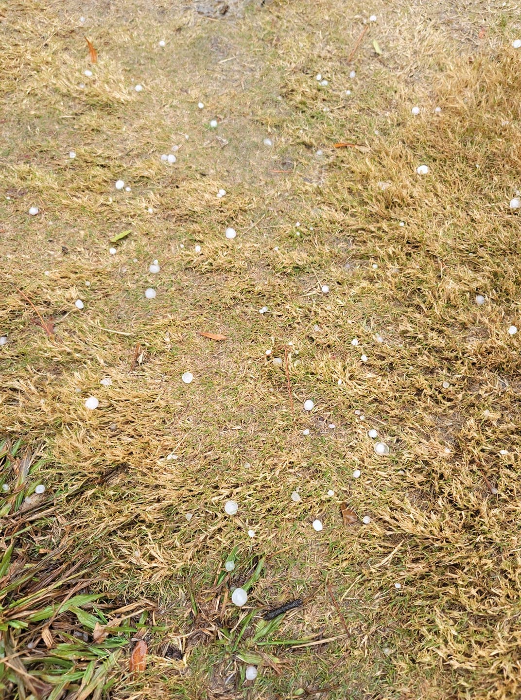 El peligro principal fue por granizos grandes. 
<br>