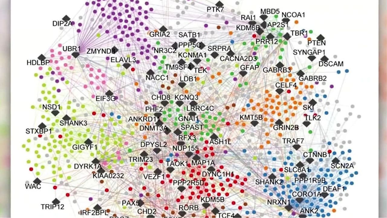 Crean el mayor mapa molecular del autismo: ¿Qué revela sobre esta condición y sus posibles tratamientos?