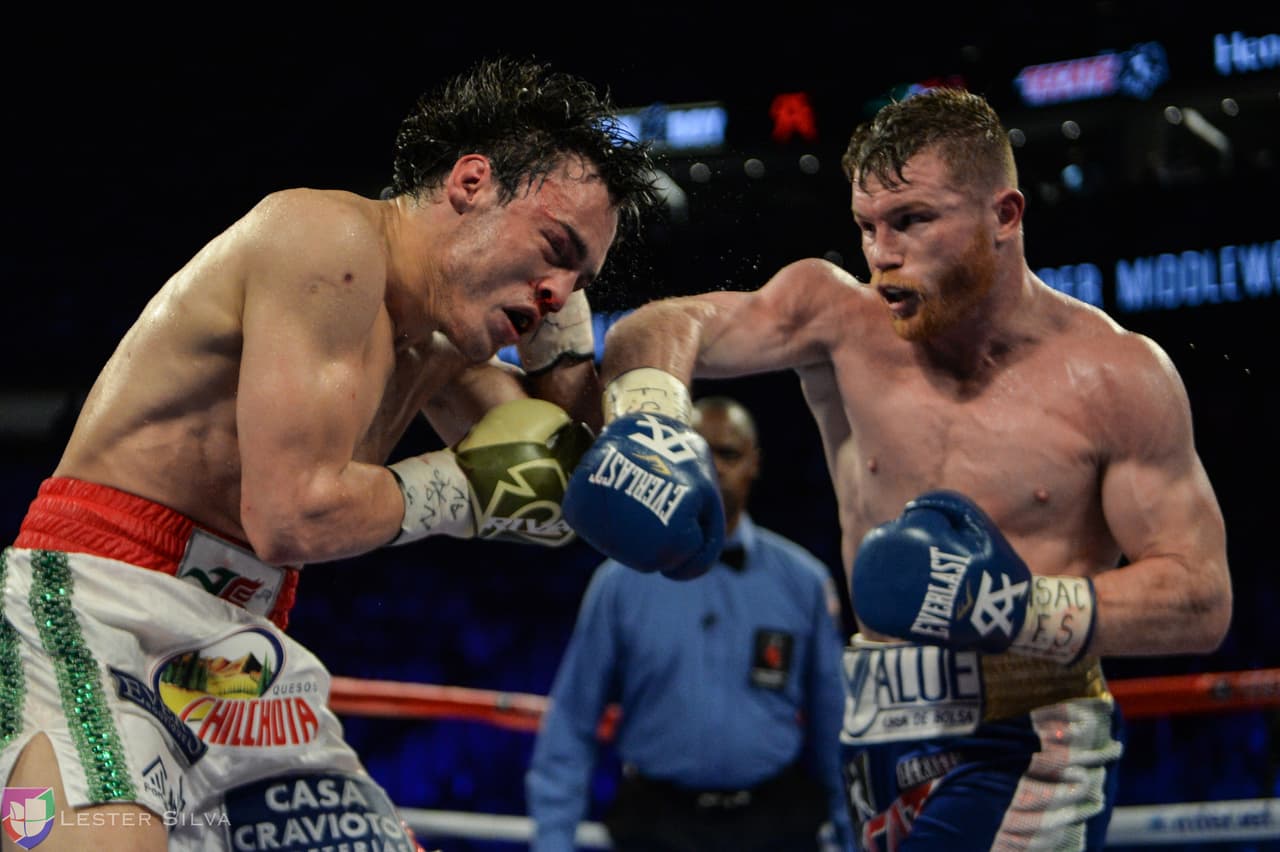 Te acercamos a los golpes que se dieron Saúl 'Canelo' Álvarez en contra de Julio César Chávez Jr., imágenes que te harán sentir en el ring.