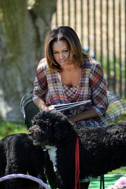 Pero además, porque son perfectos para las personas con alergia a los perros, como Malia. Mira también todos los beneficios de tener perros como los del presidente