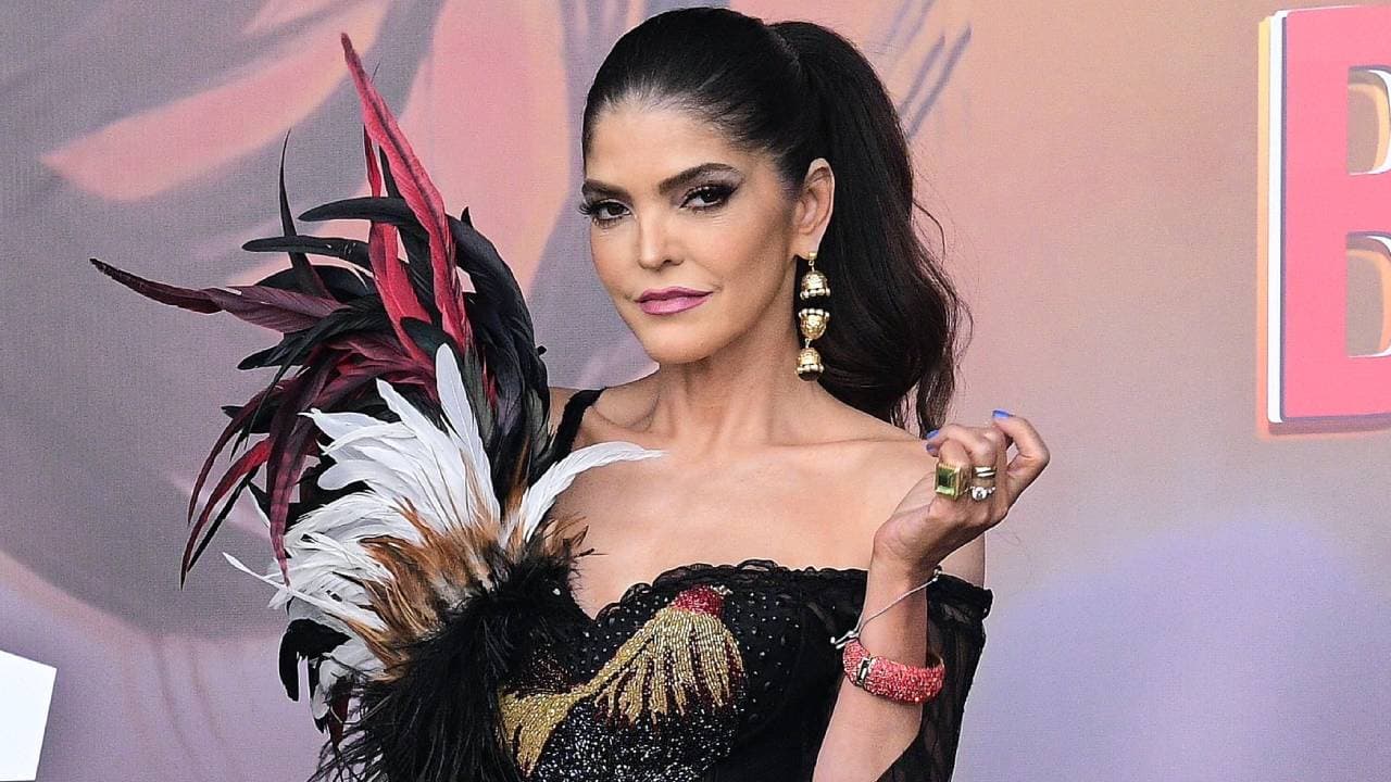 Ana Bárbara en el ojo del huracán: peleas, demandas y acusaciones de malos tratos