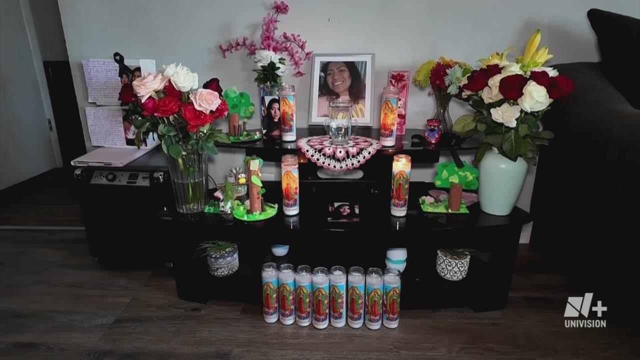 Mientras tanto, en su hogar en Illinois, 
<b>sus seres queridos levantaron un altar improvisado con veladoras y oraciones para iluminar su camino. </b>
<br>
<br>Su madre y hermana mantienen la esperanza de poder viajar pronto a México para despedirse personalmente.
<br>
<br>
<b>“Tengo que tramitar documentos… no sé cuánto se vayan a tardar, pero voy a pedir un permiso para que podamos ir a México”, explicó su madre, Reyna Trejo.</b>