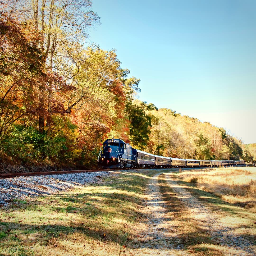 El 
<b>Fall Express 2022</b>, un viaje de dos horas disponible entre el 24 de septiembre y el 7 de noviembre- te lleva por la región del Blue Ridge para que aprecies el cambio de color en el follaje local, uno de los espectáculos naturales más esperados por muchos en Georgia.