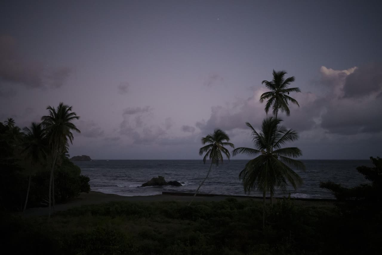 Palmeras en una playa en la isla caribeña de Tobago, en Trinidad y Tobago, el 21 de enero de 2022.