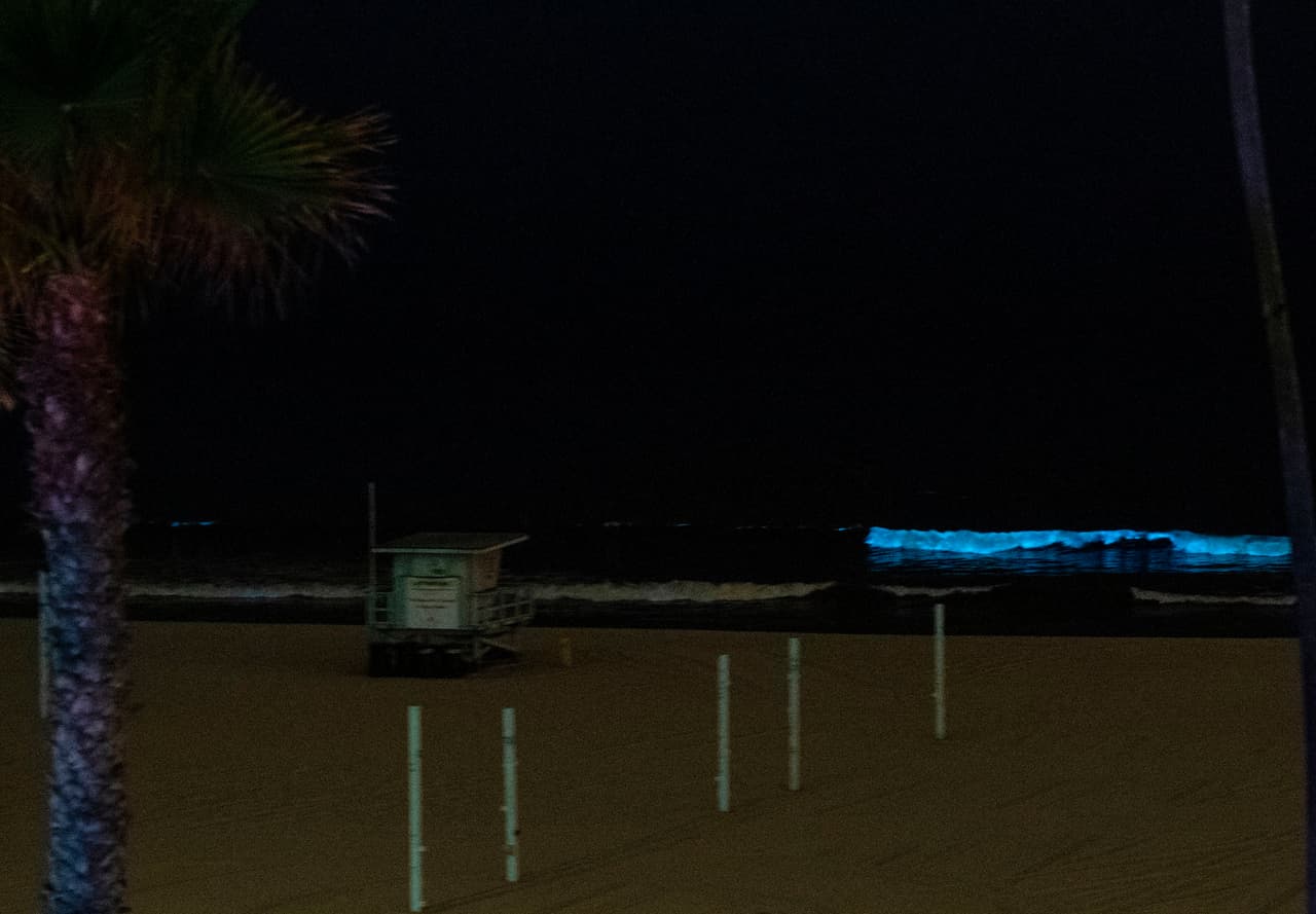 Las mareas rojas pueden ser tóxicas en algunas zonas de la tierra, dependiendo de los químicos que liberan las algas.