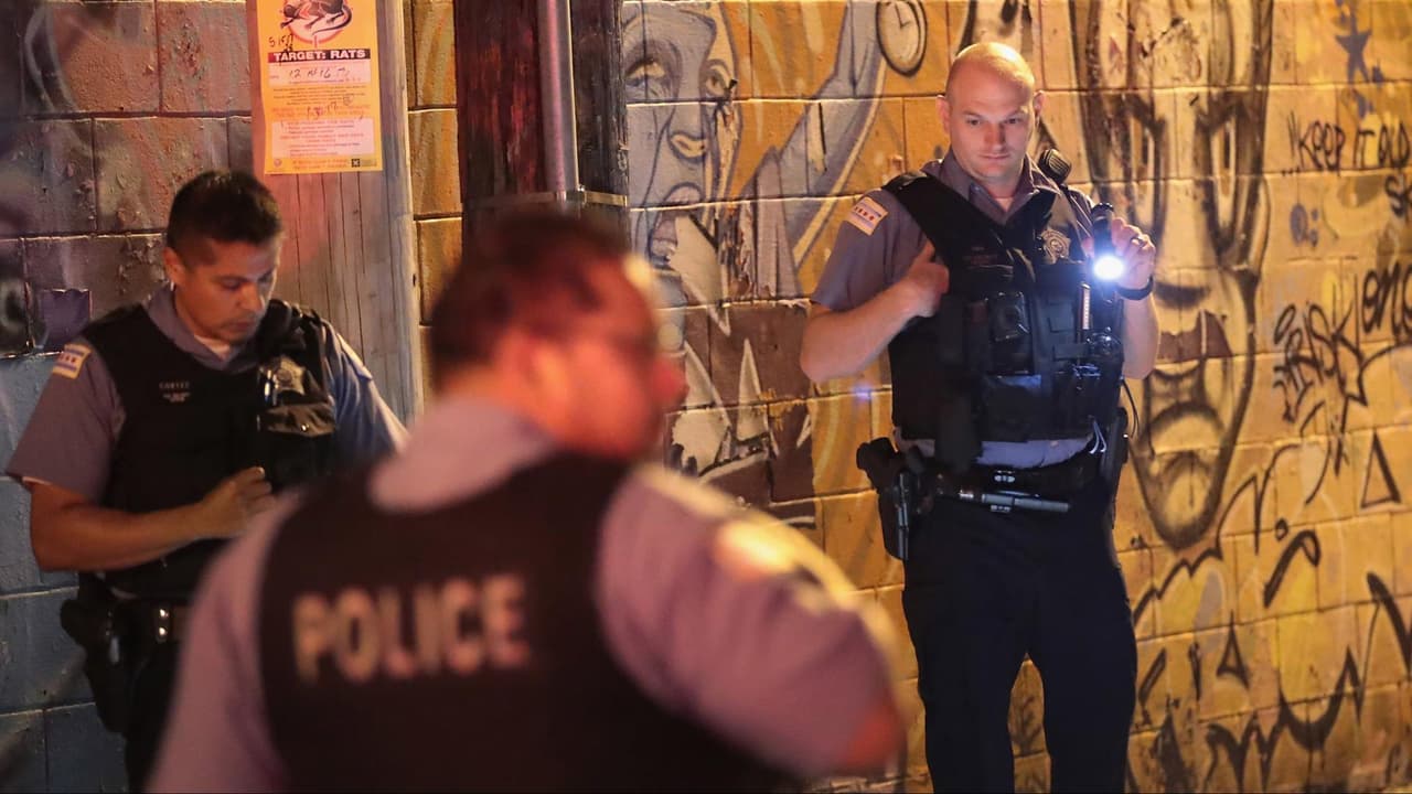 La investigación se mantiene activa, mientras se espera la llegada del 
<b>fin de semana en Chicago</b>, con la posibilidad de 
<b>más hechos violentos</b>.