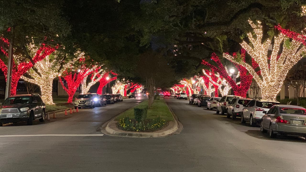 La sede educativa adornó los viejos robles con luces navideñas en una de las principales avenidas de la zona.