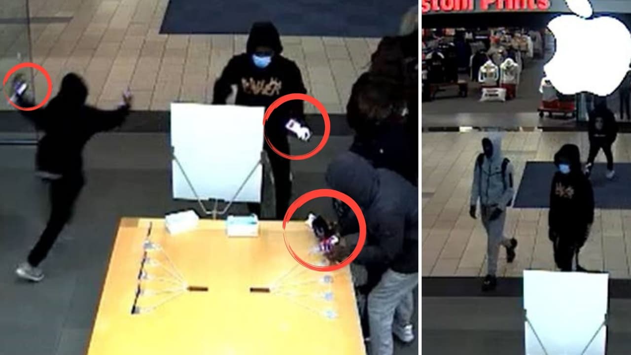 Asaltan tienda de Apple en Santa Rosa y la policía busca a cuatro sospechosos