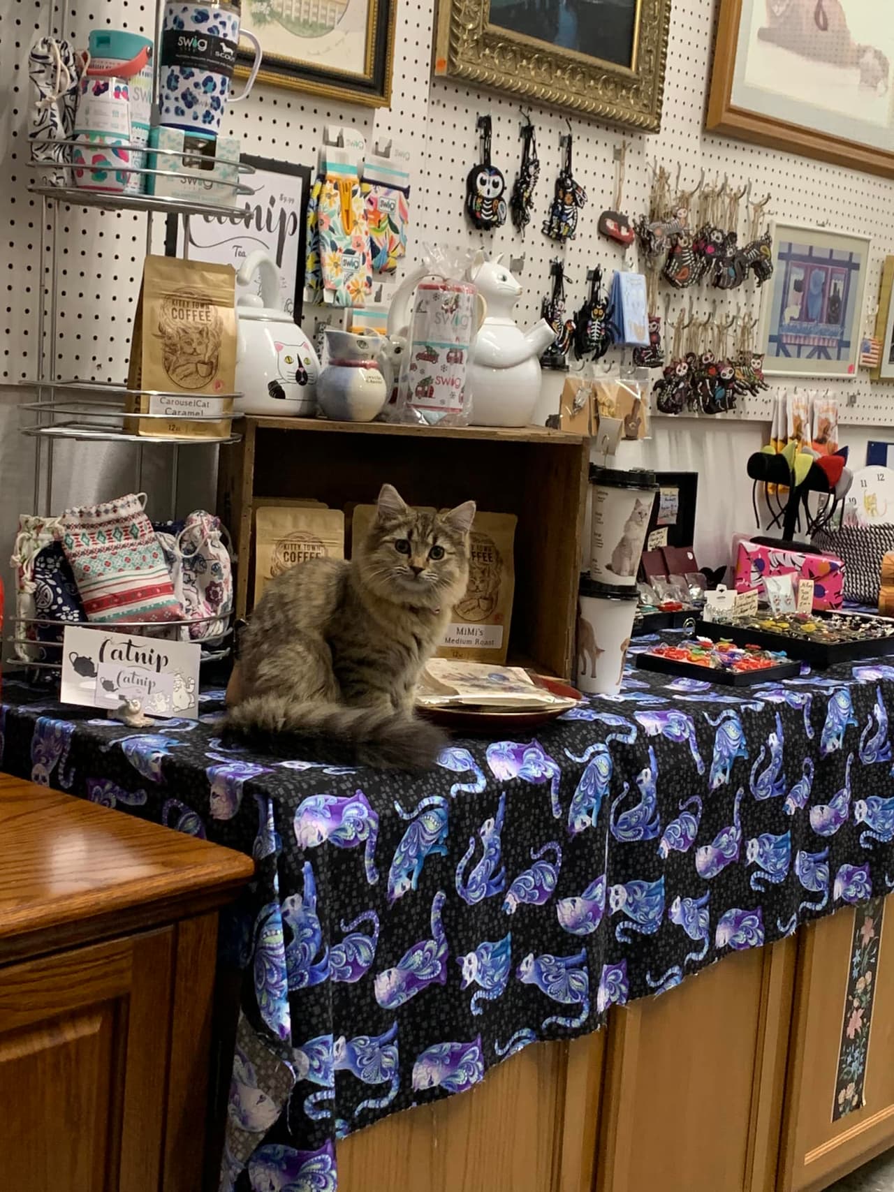 <b>American Museum of the House Cat (Sylva)</b>
<br>
<b>Sitio web</b>: 
<a href="https://www.wnccatmuseum.org/">https://www.wnccatmuseum.org/</a> 
<br>
<b><a href="https://maps.app.goo.gl/Y5f8omVUvCrgDFR87">Cómo llegar</a> </b>
<br>
<br>Aprende la historia de los gatos domésticos desde las estatuas del antiguo Egipto hasta la publicidad moderna y, mientras lo haces, ayuda a respaldar uno de los refugios para gatos con una política de no matar animales que está entre los más grandes del estado.