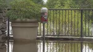 Fuertes lluvias que azotaron el sur de la Florida inundaron las inmediaciones del Zoo Miami a tal punto que tuvieron que cerrar por varios días.