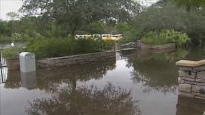 Fuertes lluvias que azotaron el sur de la Florida inundaron las inmediaciones del Zoo Miami a tal punto que tuvieron que cerrar por varios días.