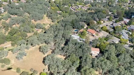 Una imagen aérea muestra zonas con vegetación seca que puede ser combustible en caso de un incendio.