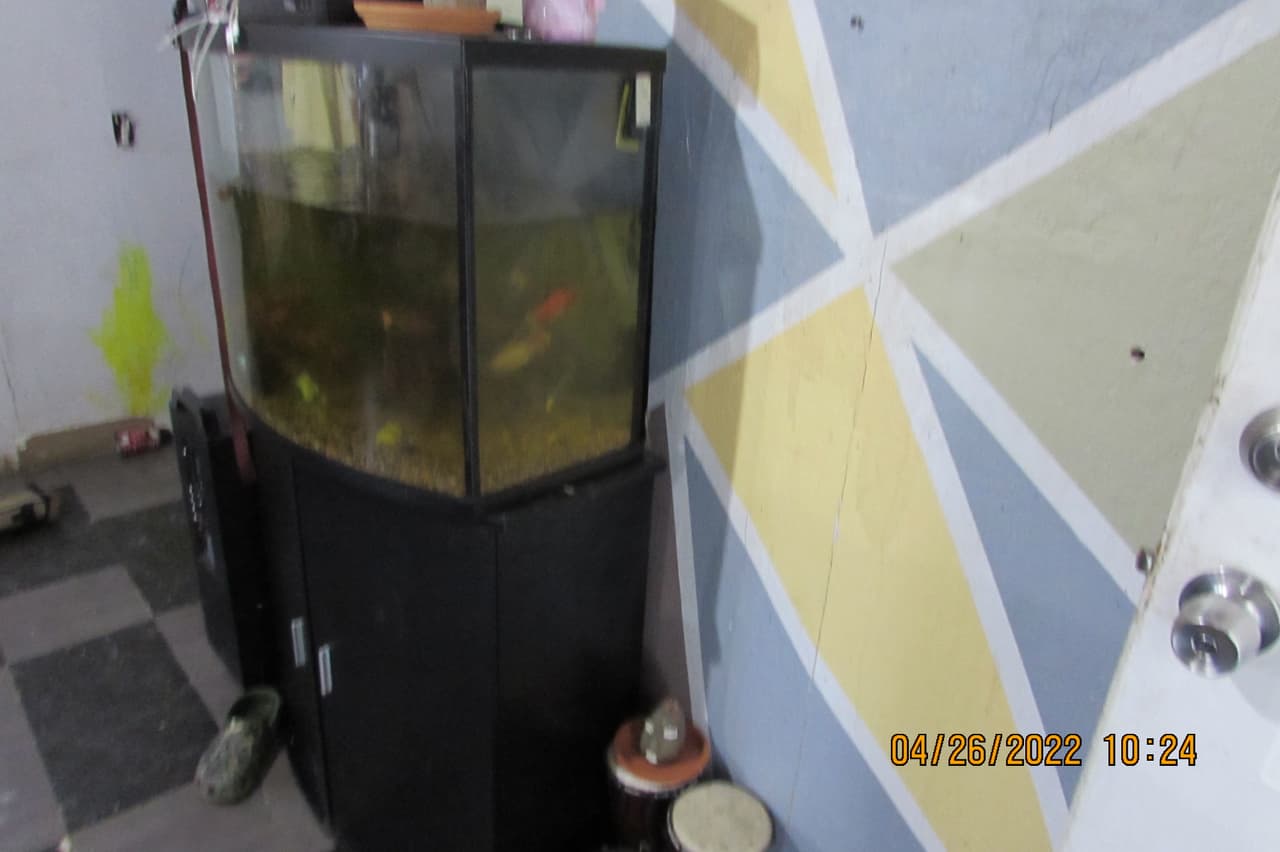 Sin embargo, las fotografías que tomaron los agentes evidencian las 
<a href="https://www.univision.com/local/miami-wltv/hablan-padres-que-fueron-arrestados-por-bebe-que-dormia-entre-heces-y-orina-video?ppp" target="_blank">condiciones en las que estaba la casa</a>, en donde hallaron al bebé.