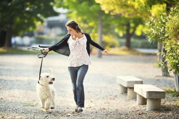 <b>Ejercicio diario.</b> No se necesita una rutina muy intensa, simplemente se aconseja caminar, sacar a pasear a tu mascota, o subir y bajar escaleras.
