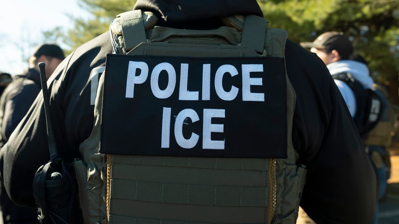 Exoficial de deportaciones de ICE se declara culpable de lavado de dinero