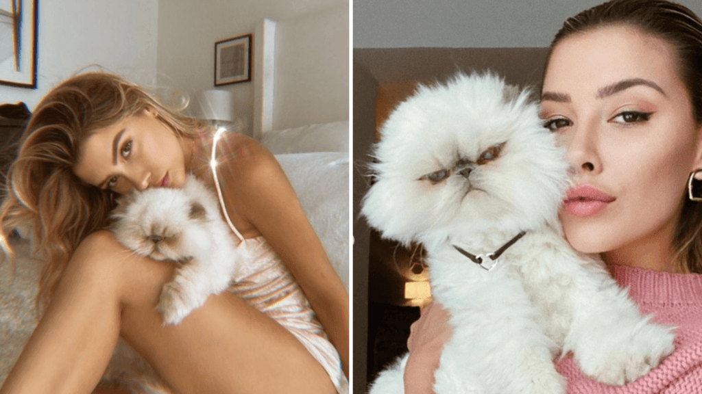 Valentino, mascota de Michelle Salas, murió a causa de cáncer en la lengua.