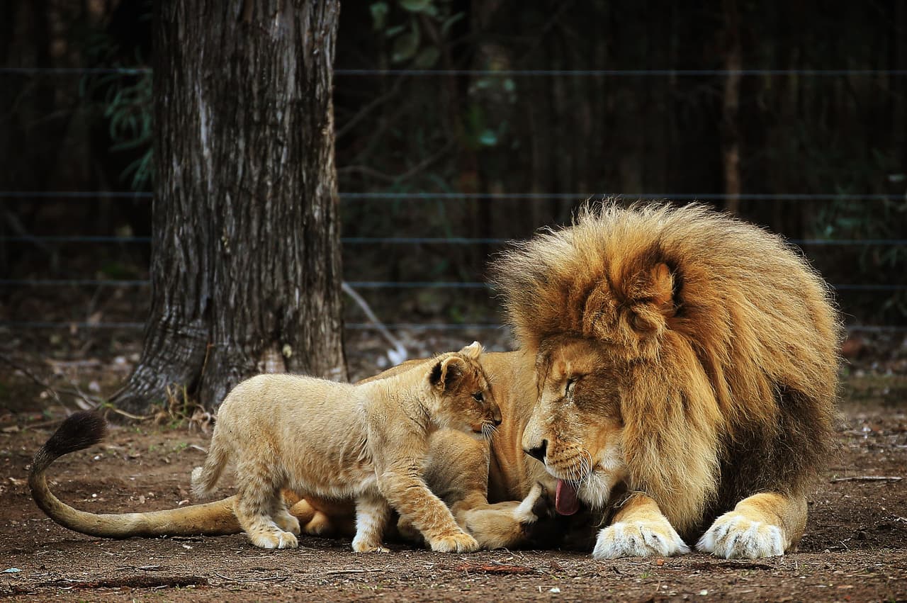 ¡A estos jovencitos también les toca baño!
