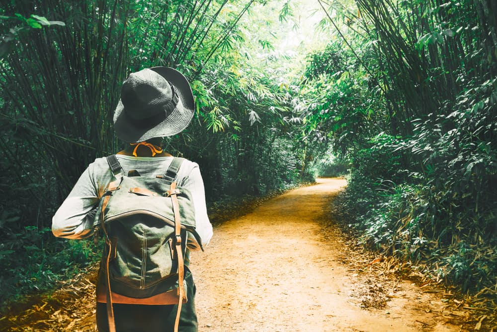 ¿De qué manera? Pues concentrándote en esas cosas bellas de tu vida, que son muchas, puesto que lo que te está indicando es que le falta poner algo de sazón, algo de objetivo, de propósito a tu vida.