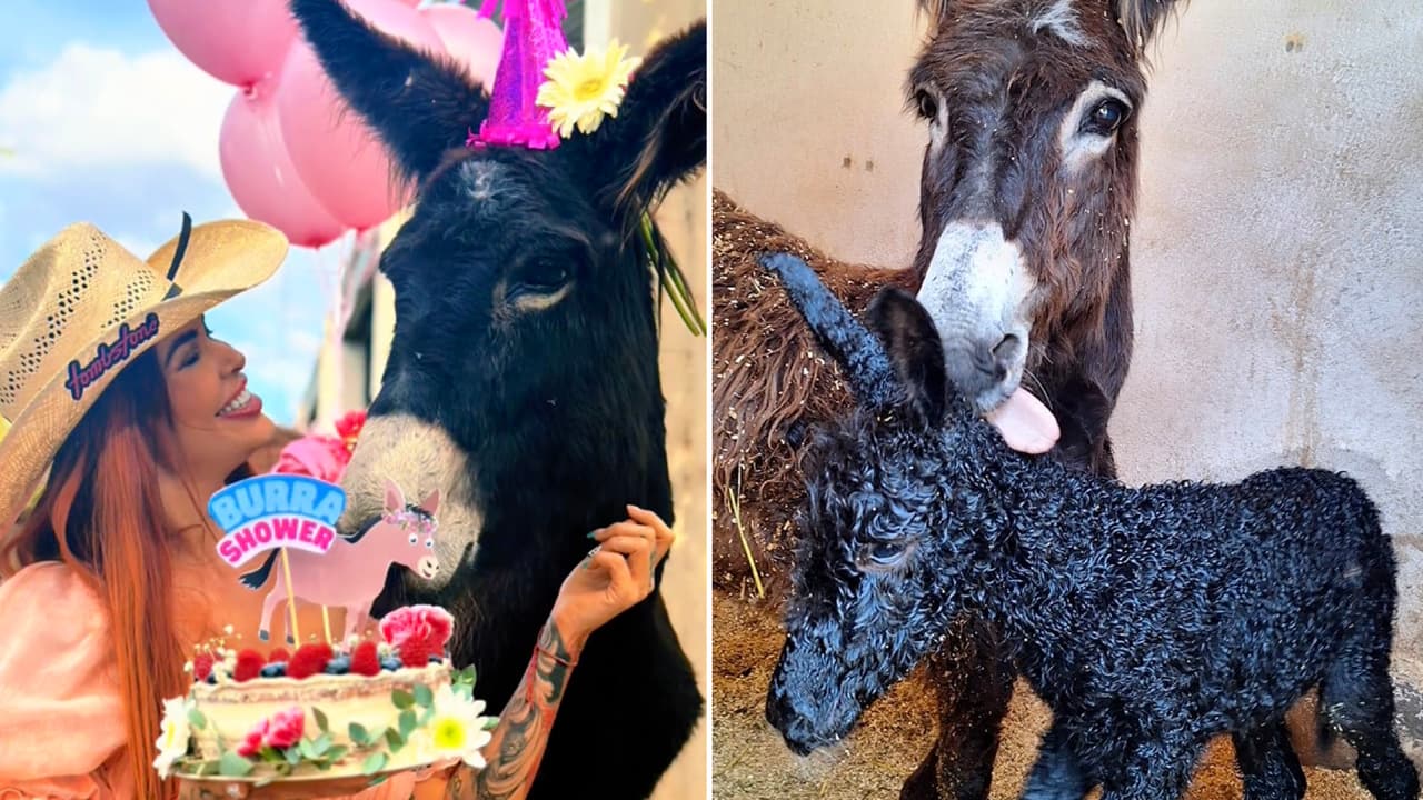 Elena Larrea se convierte en ‘abuela’ a dos días de su repentina muerte