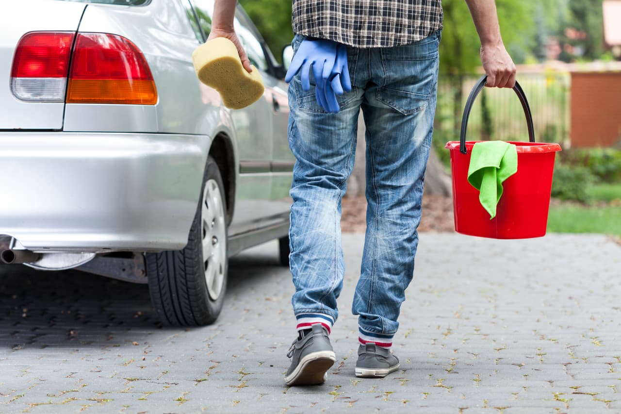 Si el excremento está seco, debes reblandecerlo. Para ello
<b> aplica agua sobre la superficie que necesites limpiar y coloca un trapo húmedo por unos minutos</b> para que lo suavice y al mismo tiempo lo absorba. Después, mueve suavemente el trapo para quitarla por completo. Es importante que no frotes ni talles para no arañar la pintura. En caso de quede una mancha, puedes aplicar una pulidora para reducirla. 
<br>Recuerda que entre más rápido actúes...mejor.