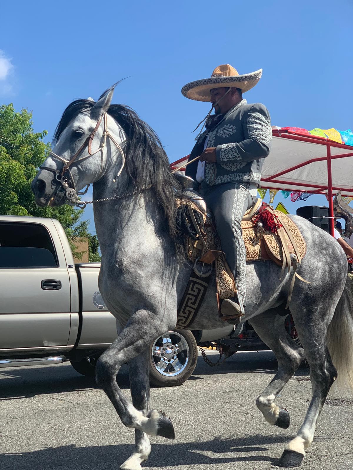 La representación de los charros también desfilaron con sus majestuosos caballos de paso.