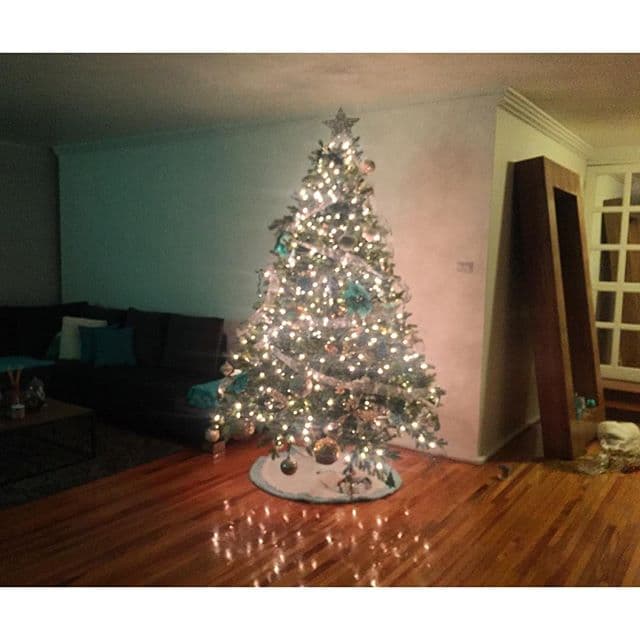 En su hogar ya colocó este arbolito y presumió a sus fans que el más encantado fue su perrito, quien no deja de admirarlo. Esperamos que no haga alguna travesura.