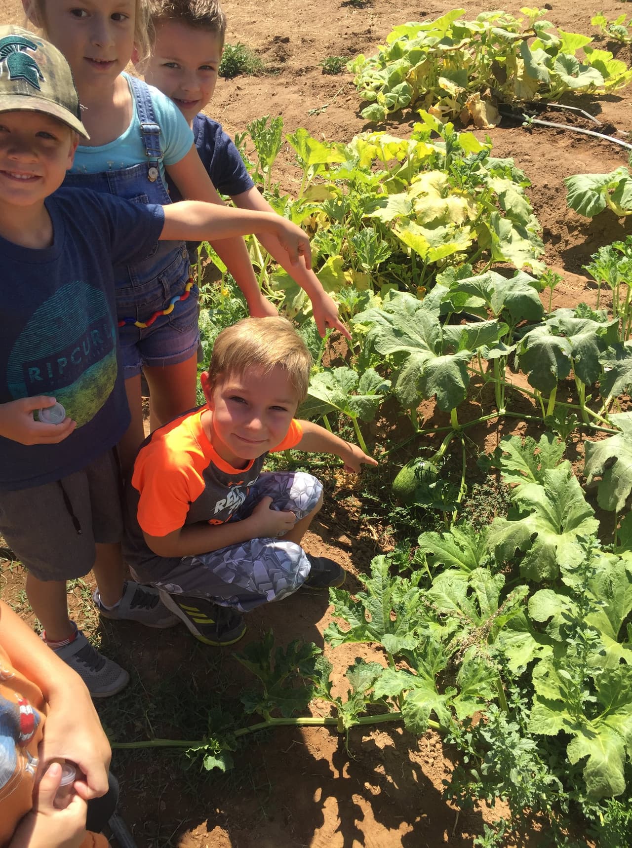 La segunda área de este laboratorio de última generación será para la creación de robótica, y enseñanza de los últimos avances en tecnología agrícola.