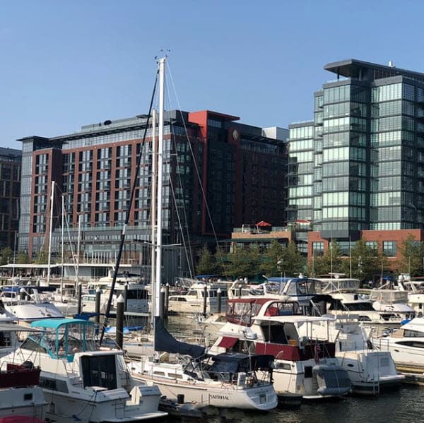 Como este conocido embarcadero que no dejaron de visitar.