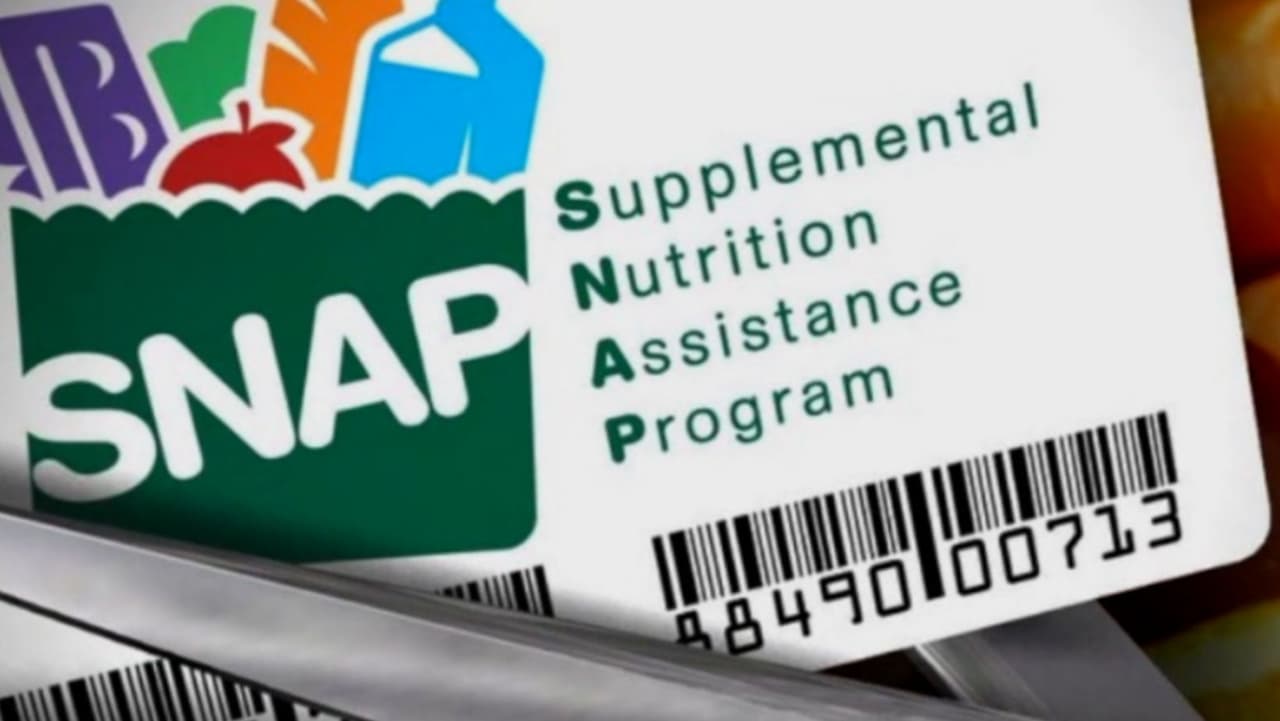 Estos son los pasos para solicitar asistencia económica para alimentos D-SNAP en condados de Florida