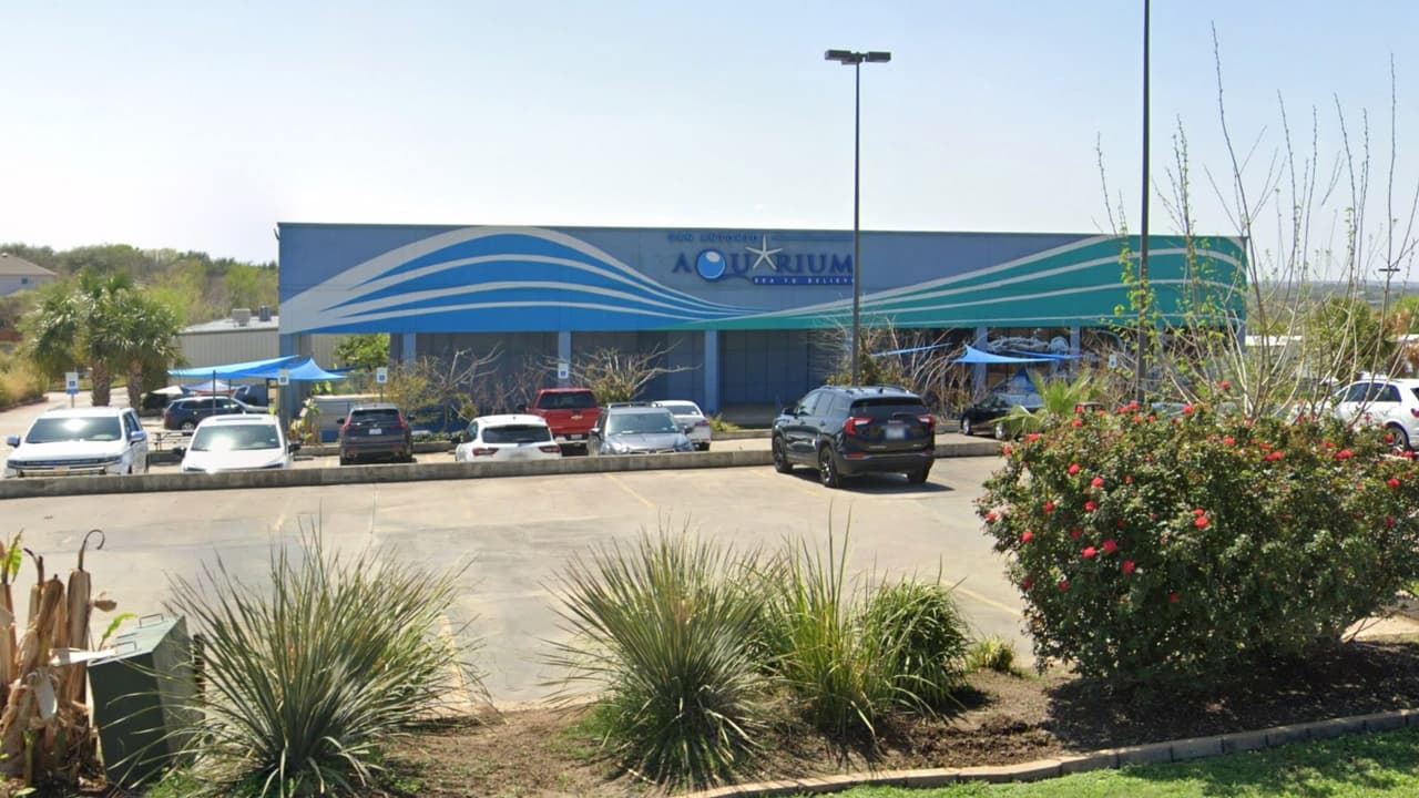 <h3 class="cms-H3-H3">Debate sobre las zonas de contacto</h3>
<br>
<br>El caso de Leo abrió un debate en redes sociales sobre la seguridad de estas experiencias interactivas. 
<b>¿Hasta qué punto es seguro permitir que niños pequeños interactúen con este tipo de animales?</b> 
<br>“Hemos tocado al pulpo muchas veces antes, pero esta fue distinto”, dijo Taryn. Ella y su hijo regresaron al acuario días después, para visitar de nuevo a 
<i>Cthulhu</i>.También para exigir que documentaran el incidente y que aclare sus protocolos de seguridad.
<br>En sus redes, aboga por mejores condiciones de vida para los animales del acuario, pero también 
<b>por más información y advertencias claras para los visitantes.</b>