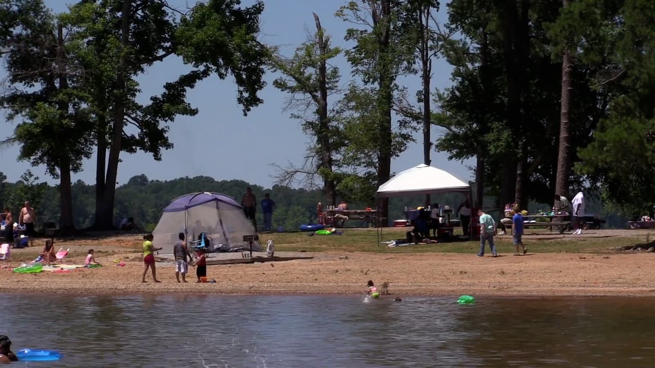 Muchos, por supuesto, disfrutan de nadar.
<br>