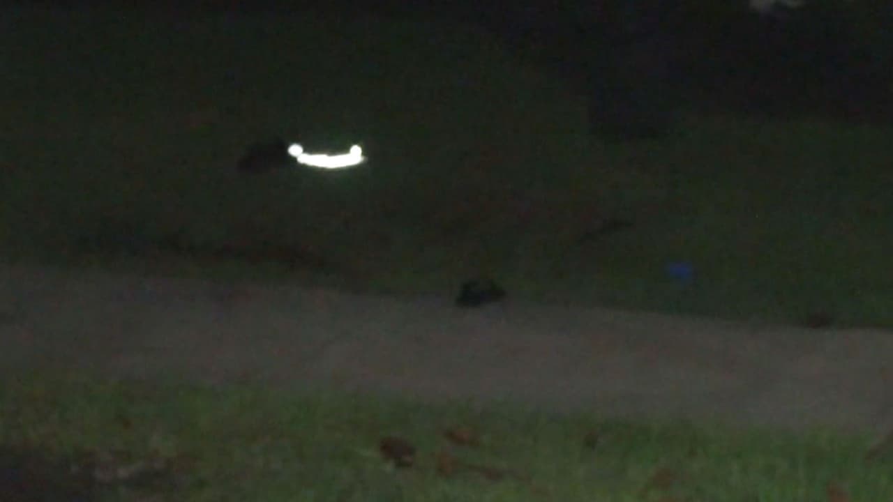 El hombre permaneció en la escena y fue detenido por las autoridades. La investigación continúa.