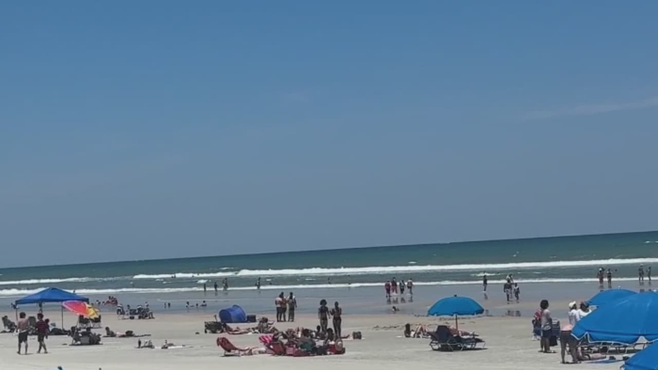 Dos ataques de tiburón en menos de 24 horas en New Smyrna Beach: ¿cómo evitar este tipo de incidentes?